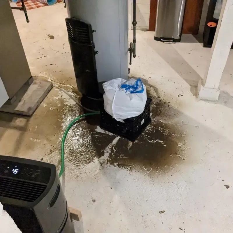 Sewage Backup Cleanup Service in Brookwood, AL